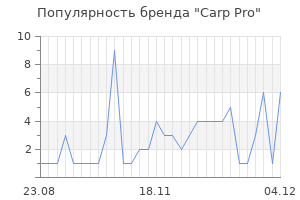 Популярность бренда carp pro