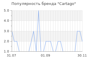 Популярность бренда cartago