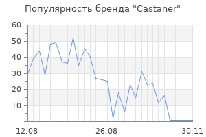 Популярность бренда castaner