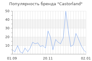 Популярность бренда castorland
