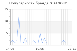Популярность бренда CATNOIR