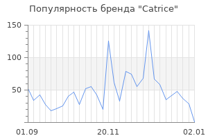 Популярность бренда catrice