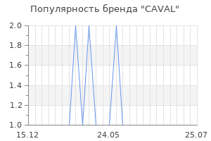 Популярность бренда CAVAL
