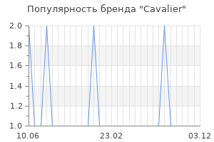 Популярность бренда Cavalier