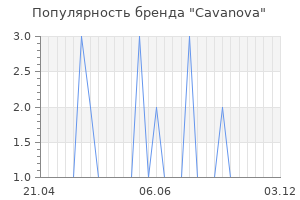Популярность бренда cavanova