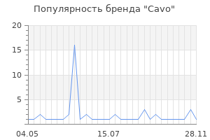 Популярность бренда cavo