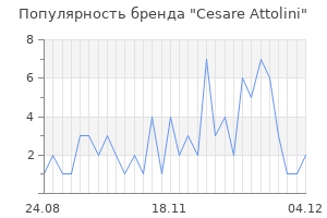 Популярность бренда cesare attolini
