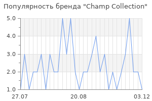 Популярность бренда champ collection