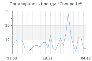 Популярность бренда choupette