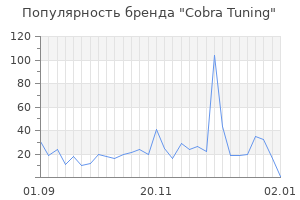 Популярность бренда cobra tuning