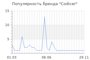 Популярность бренда codicer