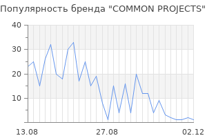 Популярность бренда common projects