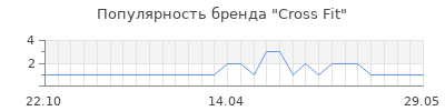 Популярность cross fit