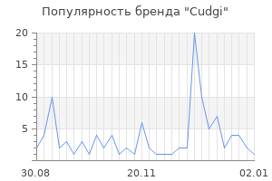 Популярность бренда cudgi