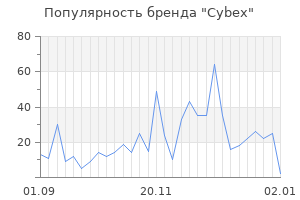 Популярность бренда cybex