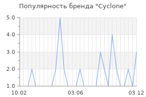 Популярность бренда cyclone