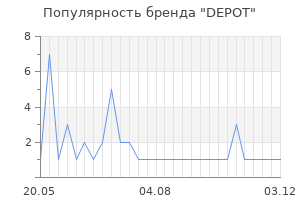 Популярность бренда DEPOT
