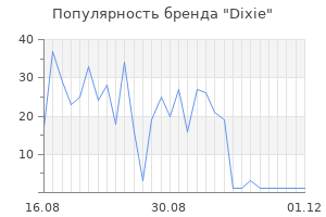 Популярность бренда dixie