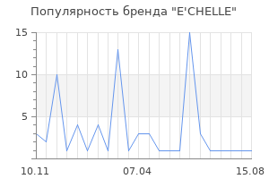 Популярность бренда E'CHELLE