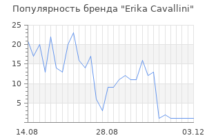 Популярность бренда erika cavallini