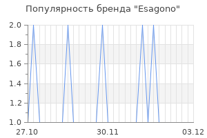 Популярность бренда esagono