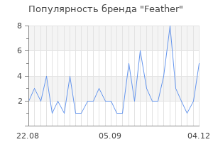 Популярность бренда feather