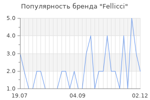 Популярность бренда fellicci