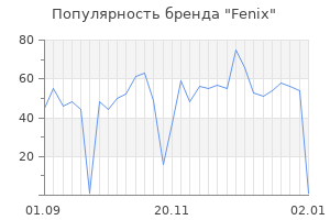Популярность бренда fenix