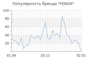 Популярность бренда fenox