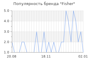 Популярность бренда fisher