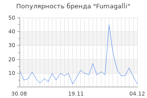 Популярность бренда fumagalli