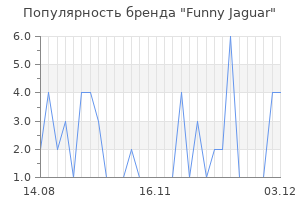 Популярность бренда funny jaguar