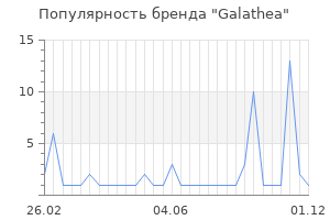 Популярность бренда galathea