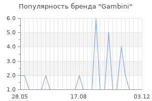 Популярность бренда gambini