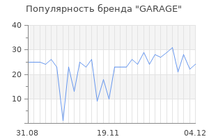 Популярность бренда garage