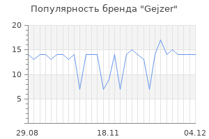 Популярность бренда Gejzer
