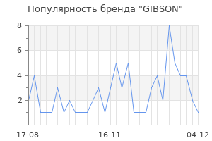 Популярность бренда gibson
