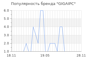 Популярность бренда GIGAIPC