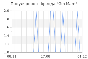Популярность бренда gin mare