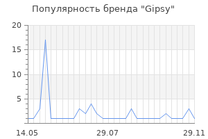 Популярность бренда gipsy