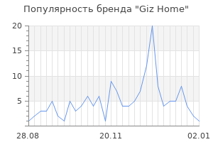 Популярность бренда giz home