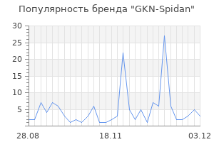 Популярность бренда GKN-Spidan