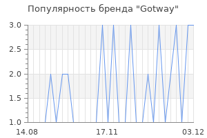 Популярность бренда gotway