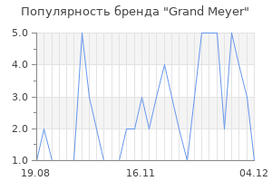 Популярность бренда grand meyer