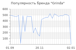 Популярность бренда grinda