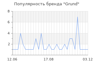 Популярность бренда grund