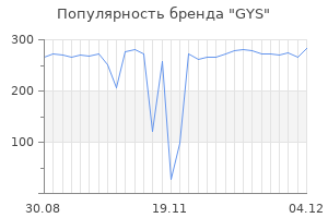 Популярность бренда gys