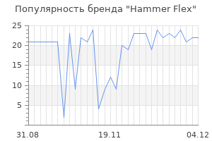 Популярность бренда hammer flex