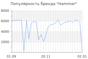 Популярность бренда hammer