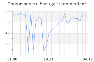 Популярность бренда hammerflex
